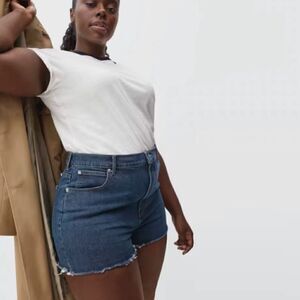 Everlane the way high denim short size 30